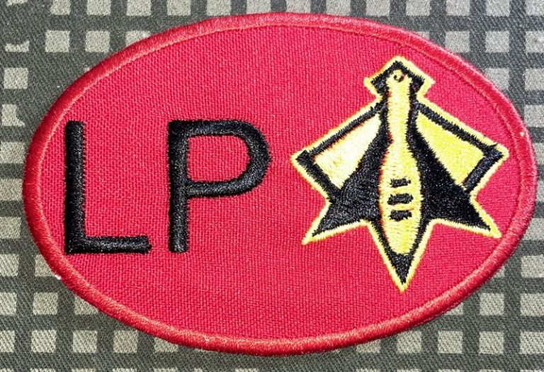 USAF LPA 21st Airlift Squadron "Bee Liners" Patch - Decal Patch - Co